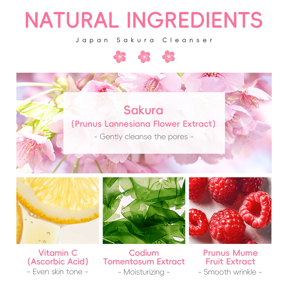 2 PCS LAIKOU Japan Sakura Cleanser 50g Deep Cleansing Soften Skin Moisturizing Gentle Facial Wash